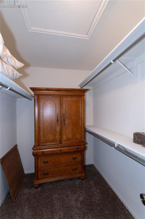 spacious closet with dark carpet