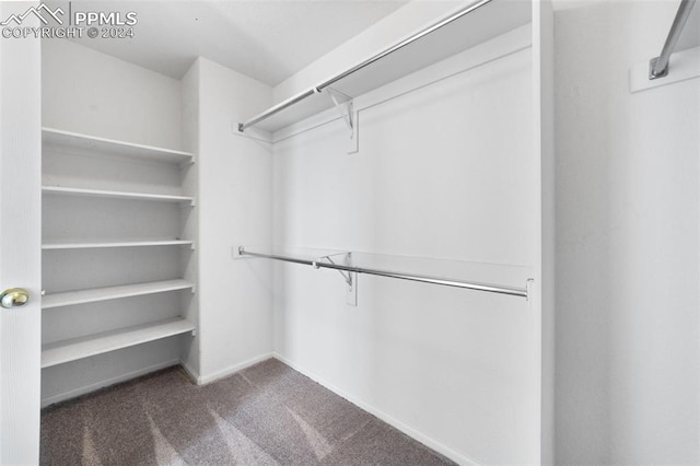 spacious closet featuring dark colored carpet