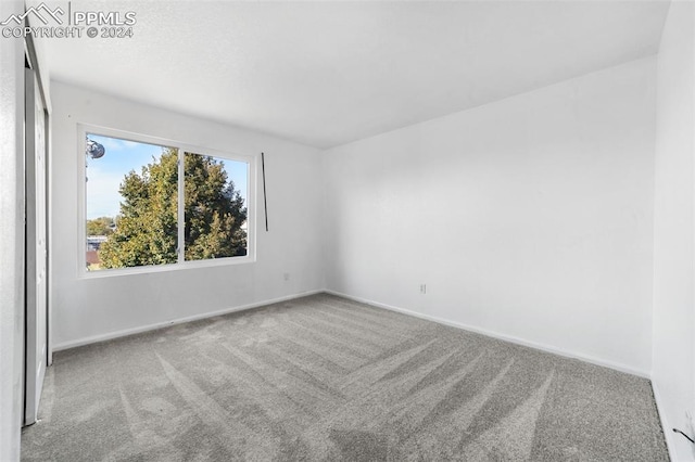 spare room with carpet flooring