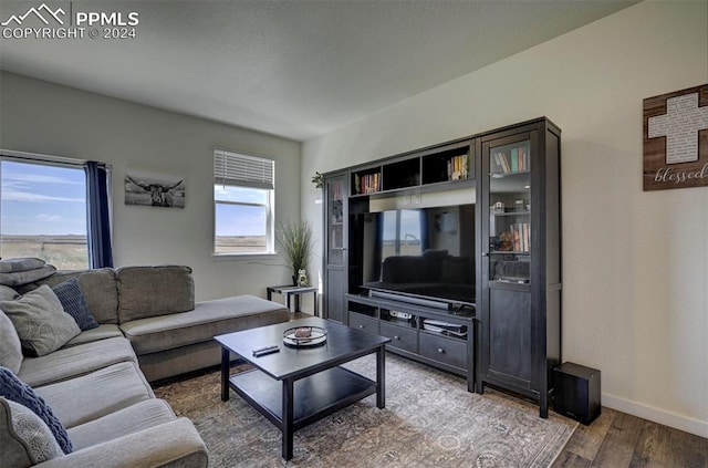 living room featuring hardwood / wood-style floors