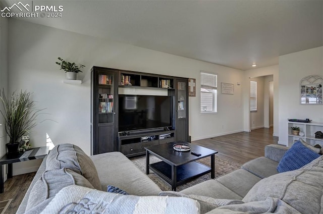 living room featuring hardwood / wood-style flooring