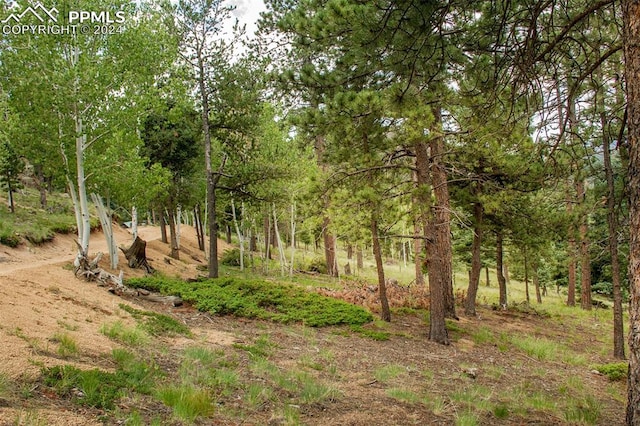 Listing photo 3 for 266 Aspen Ridge Rd, Manitou Springs CO 80829