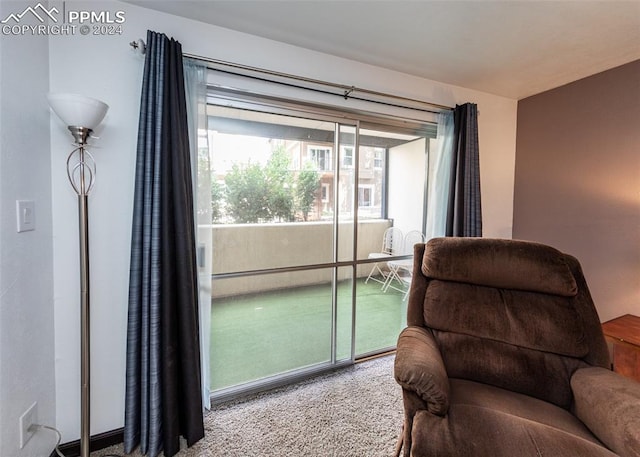 sitting room with carpet flooring and baseboard heating