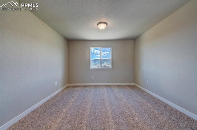 unfurnished room with a textured ceiling and light carpet