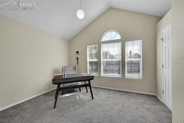 carpeted home office with vaulted ceiling and a textured ceiling