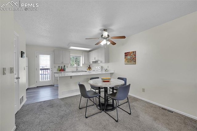 carpeted dining space with a textured ceiling, sink, and ceiling fan