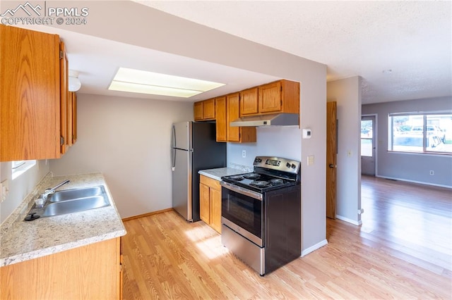 kitchen featuring stainless steel appliances, light wood-type flooring, and sink