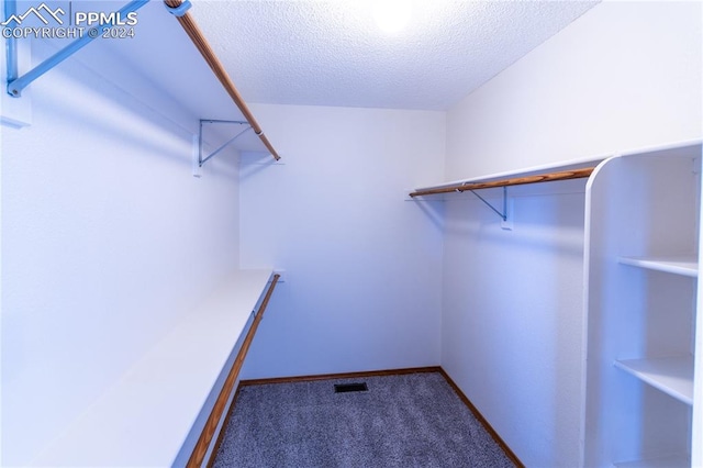 walk in closet with carpet floors