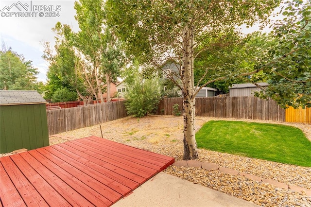 view of yard with a storage shed