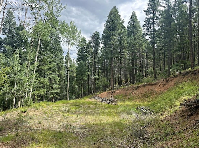 272 Fern Valley Rd, Manitou Springs CO, 80829 land for sale