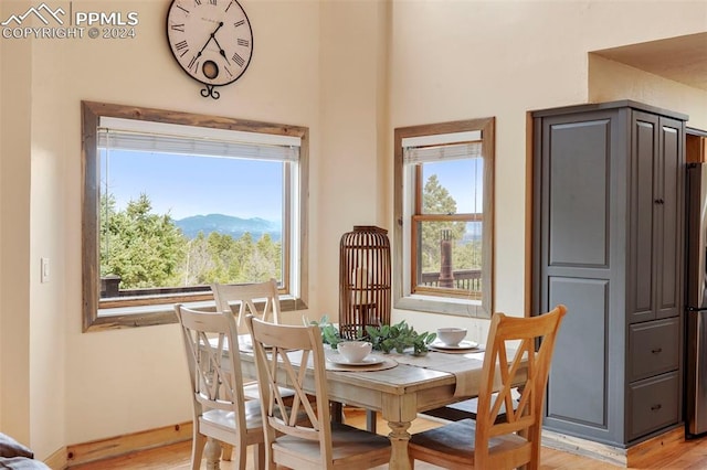 dining space featuring light hardwood / wood-style floors and a wealth of natural light