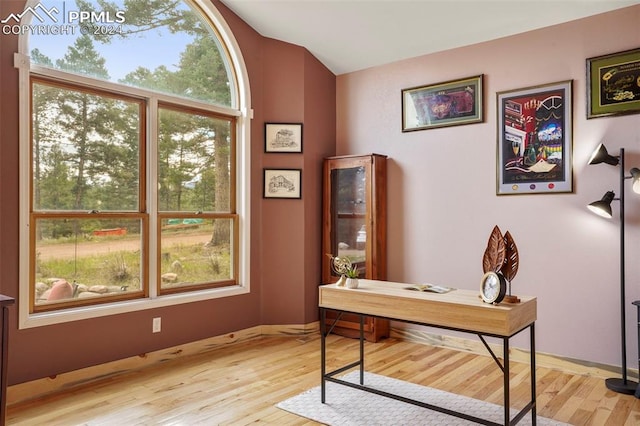 office space featuring light hardwood / wood-style flooring and plenty of natural light