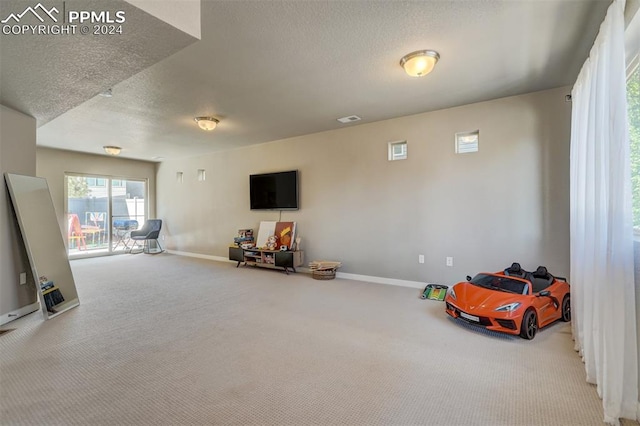 interior space with carpet and a textured ceiling