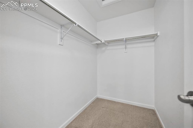 spacious closet with carpet flooring