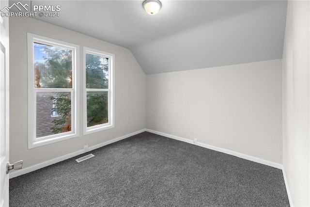 additional living space featuring carpet and lofted ceiling