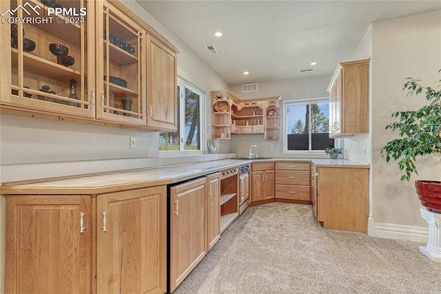 kitchen with plenty of natural light, sink, and light colored carpet