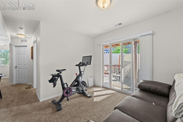 workout room featuring carpet flooring