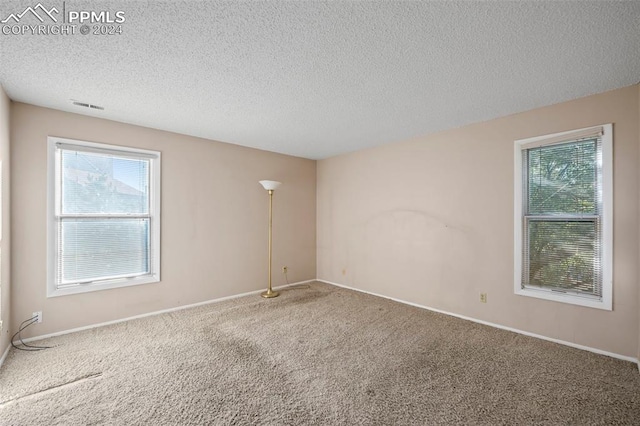 spare room with carpet flooring and a textured ceiling