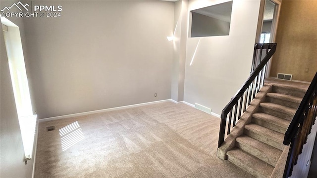 staircase featuring carpet