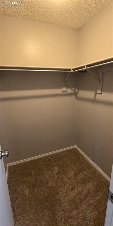 spacious closet featuring carpet floors