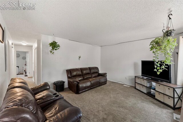 carpeted living room with a textured ceiling