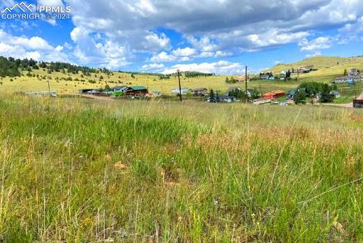 Listing photo 3 for Whalen Ave, Cripple Creek CO 80813