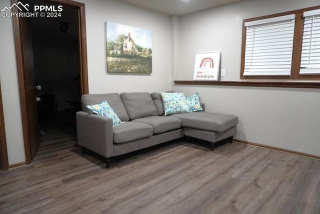 living room with wood-type flooring