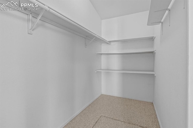 spacious closet featuring carpet flooring