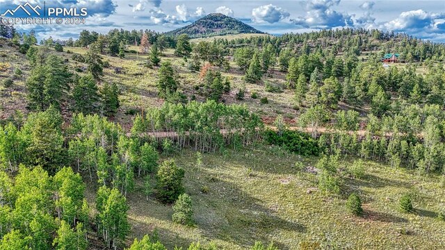 1325 Penrose Cir, Cripple Creek CO, 80813 land for sale