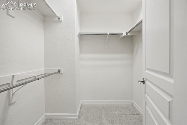 walk in closet featuring carpet