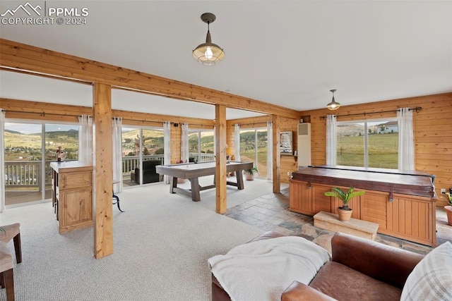 living room featuring wooden walls and a healthy amount of sunlight