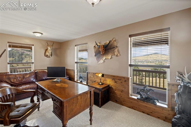 carpeted office space with wood walls and a wealth of natural light