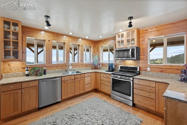 kitchen with plenty of natural light, stainless steel appliances, light hardwood / wood-style floors, and sink