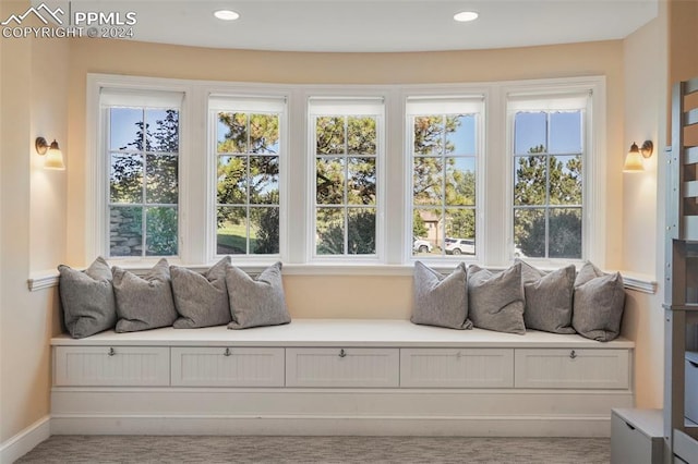 sunroom with a healthy amount of sunlight