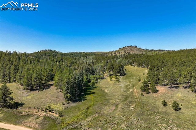 11068 Trail Creek Rd, Divide CO, 80814 land for sale