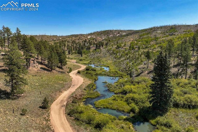 Listing photo 2 for 11068 Trail Creek Rd, Divide CO 80814