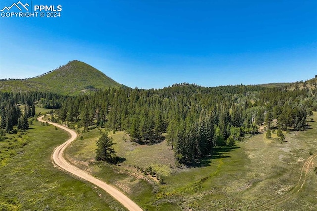 Listing photo 3 for 11068 Trail Creek Rd, Divide CO 80814