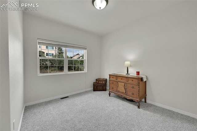 sitting room featuring carpet floors