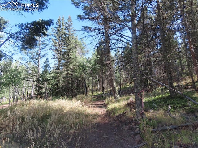 471 Horseshoe Trl, Florissant CO, 80816 land for sale