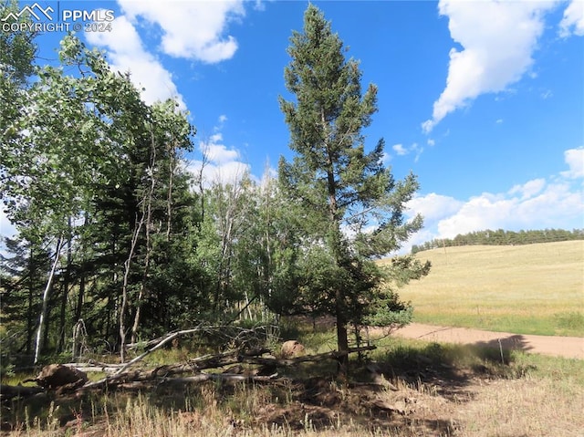 Listing photo 2 for 471 Horseshoe Trl, Florissant CO 80816