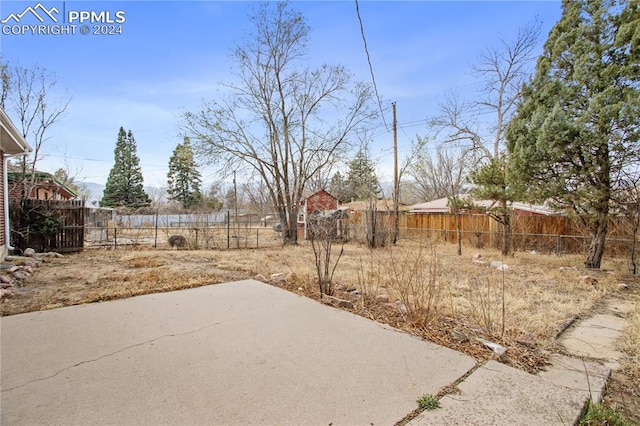 view of yard featuring a patio