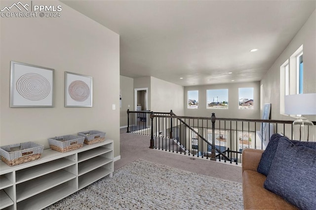 sitting room with carpet flooring