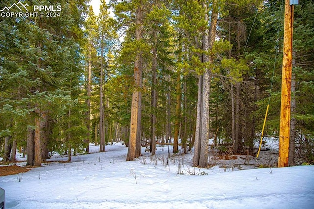 Listing photo 3 for Wood Rd, Idaho Springs CO 80452