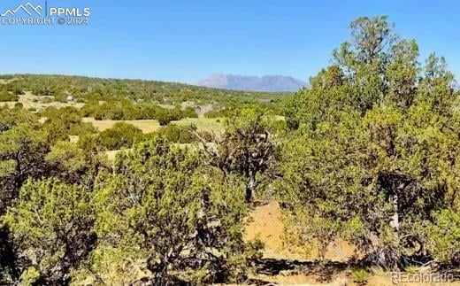 Cello Azui Dr, Walsenburg CO, 81089 land for sale