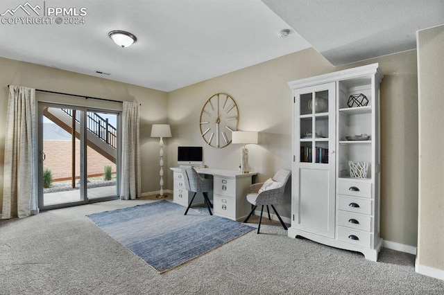 home office with carpet floors