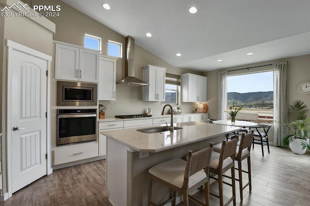 kitchen featuring wall chimney exhaust hood, white cabinetry, a mountain view, an island with sink, and stainless steel appliances