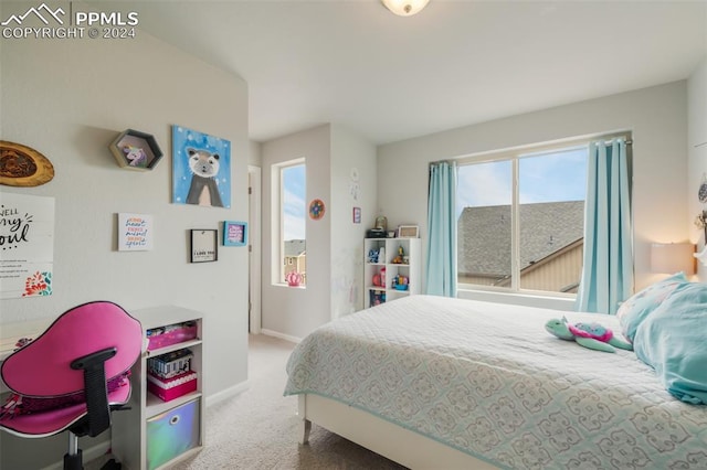 bedroom with carpet flooring