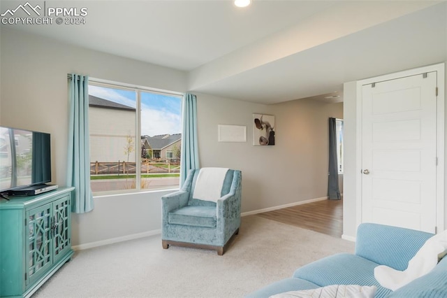 living room featuring carpet flooring