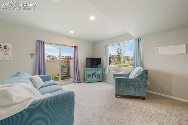 carpeted living room with a wealth of natural light