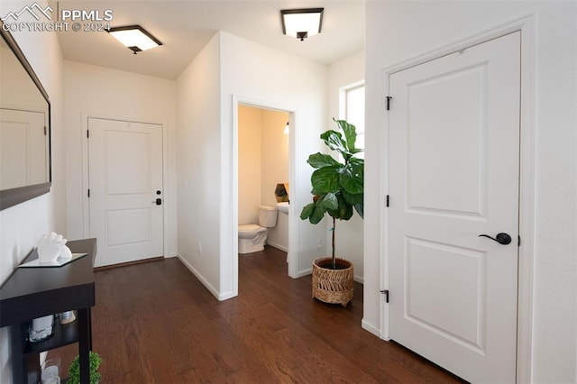 entryway featuring dark hardwood / wood-style flooring